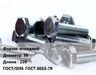 Болт откидной 30х220 ГОСТ 3033-79